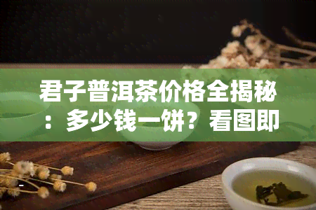 君子普洱茶价格全揭秘：多少钱一饼？看图即知！