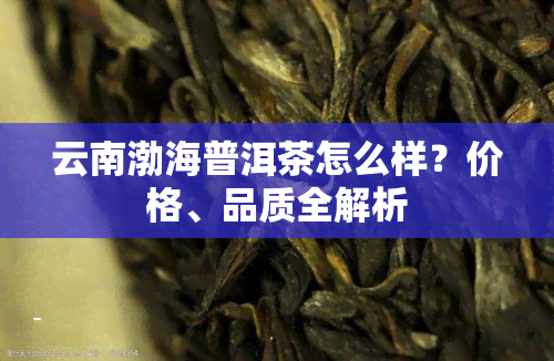 云南渤海普洱茶怎么样？价格、品质全解析