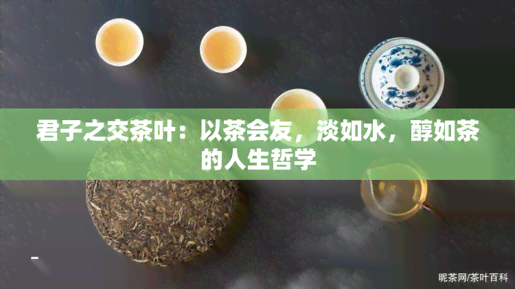 君子之交茶叶：以茶会友，淡如水，醇如茶的人生哲学