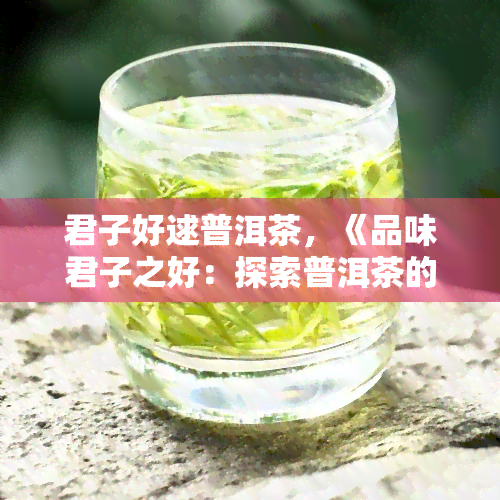 君子好逑普洱茶，《品味君子之好：探索普洱茶的魅力》