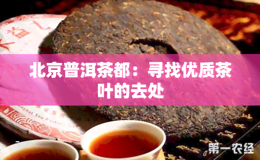 北京普洱茶都：寻找优质茶叶的去处