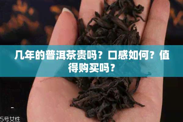 几年的普洱茶贵吗？口感如何？值得购买吗？