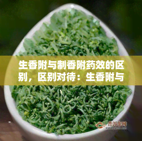 生香附与制香附药效的区别，区别对待：生香附与制香附的药效有何不同？