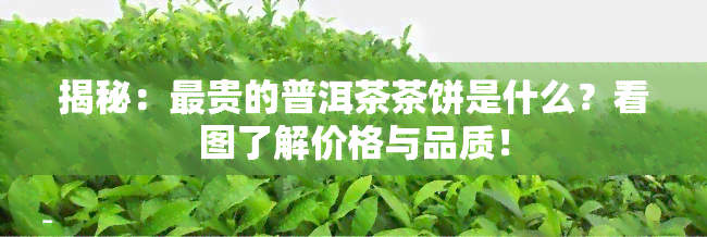 揭秘：最贵的普洱茶茶饼是什么？看图了解价格与品质！