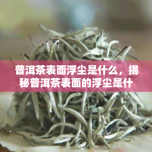 普洱茶表面浮尘是什么，揭秘普洱茶表面的浮尘是什么？