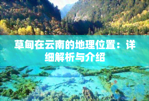 草甸在云南的地理位置：详细解析与介绍