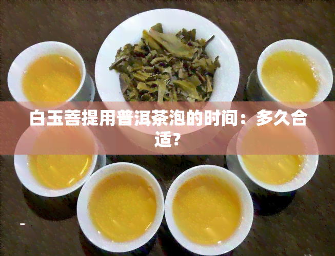 白玉菩提用普洱茶泡的时间：多久合适？