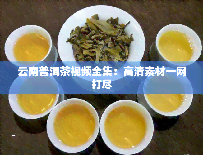 云南普洱茶视频全集：高清素材一网打尽