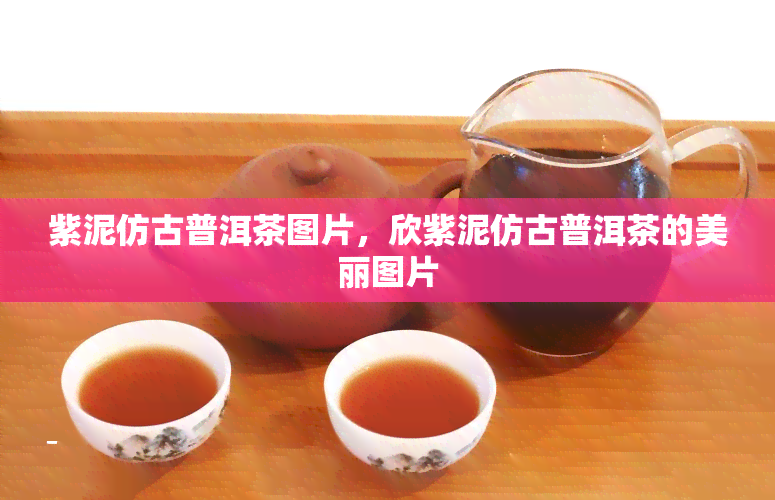 紫泥仿古普洱茶图片，欣紫泥仿古普洱茶的美丽图片