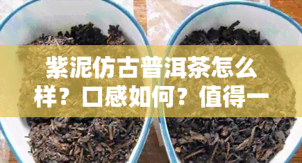 紫泥仿古普洱茶怎么样？口感如何？值得一试吗？