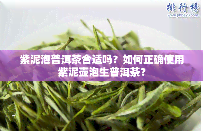 紫泥泡普洱茶合适吗？如何正确使用紫泥壶泡生普洱茶？