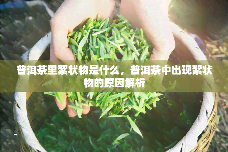 普洱茶里絮状物是什么，普洱茶中出现絮状物的原因解析