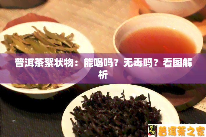 普洱茶絮状物：能喝吗？无吗？看图解析