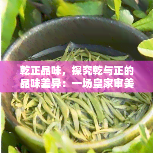 乾正品味，探究乾与正的品味差异：一场皇家审美的较量