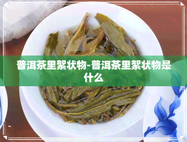 普洱茶里絮状物-普洱茶里絮状物是什么