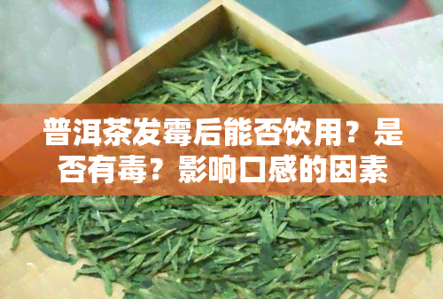 普洱茶发霉后能否饮用？是否有？影响口感的因素是什么？