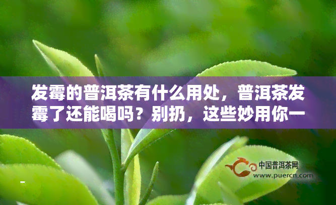 发霉的普洱茶有什么用处，普洱茶发霉了还能喝吗？别扔，这些妙用你一定不知道！