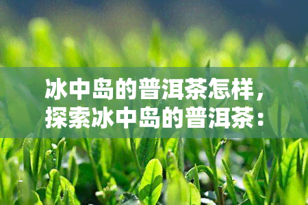 冰中岛的普洱茶怎样，探索冰中岛的普洱茶：一种独特的茶文化体验