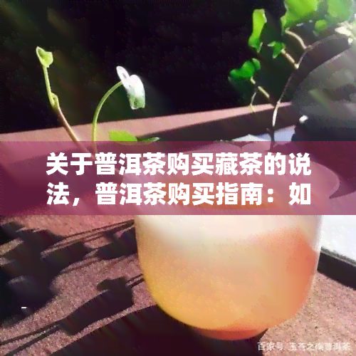 关于普洱茶购买藏茶的说法，普洱茶购买指南：如何辨别真伪并收藏优质普洱茶？