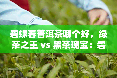 碧螺春普洱茶哪个好，绿茶之王 vs 黑茶瑰宝：碧螺春与普洱茶的口感与功效比较