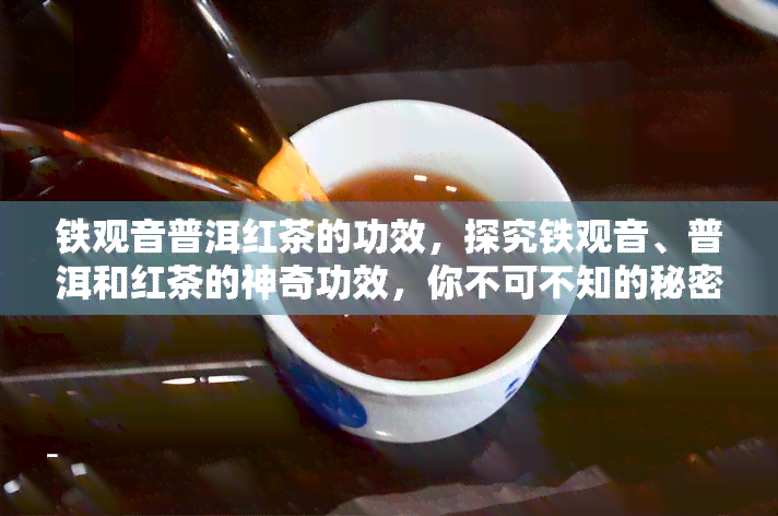 铁观音普洱红茶的功效，探究铁观音、普洱和红茶的神奇功效，你不可不知的秘密！