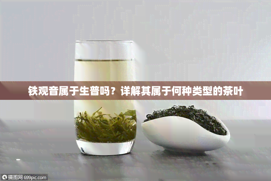 铁观音属于生普吗？详解其属于何种类型的茶叶