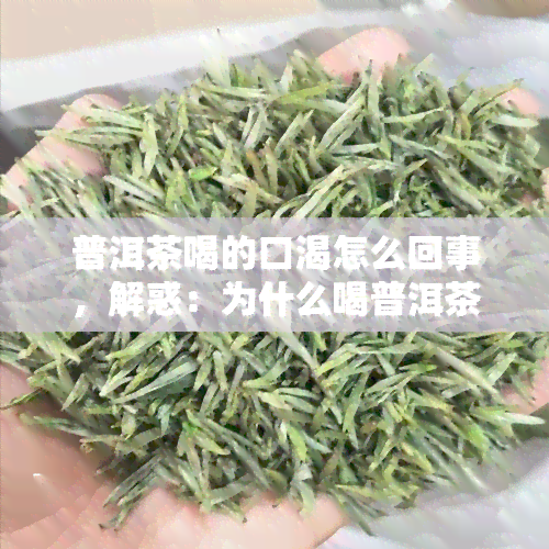 普洱茶喝的口渴怎么回事，解惑：为什么喝普洱茶会感到口渴？