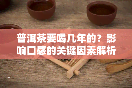 普洱茶要喝几年的？影响口感的关键因素解析