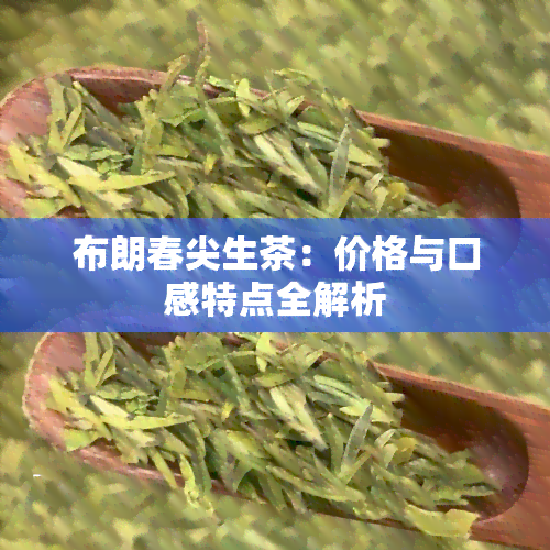 布朗春尖生茶：价格与口感特点全解析