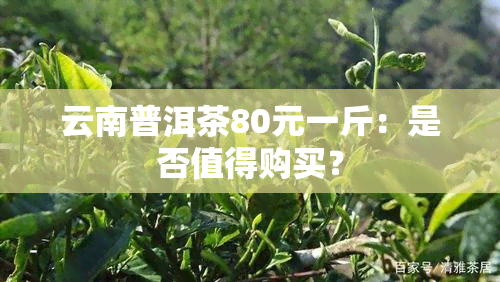 云南普洱茶80元一斤：是否值得购买？