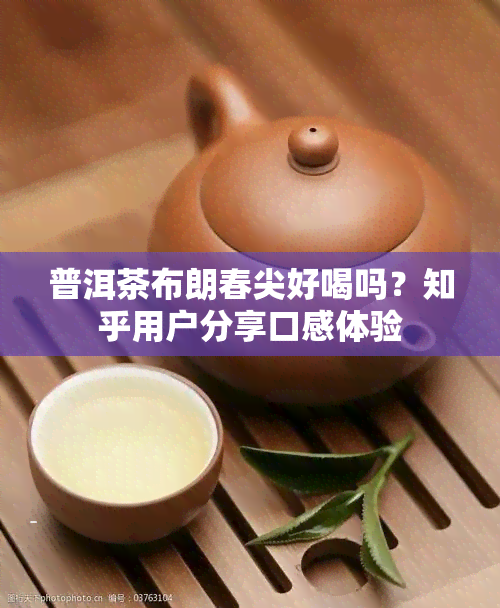 普洱茶布朗春尖好喝吗？知乎用户分享口感体验