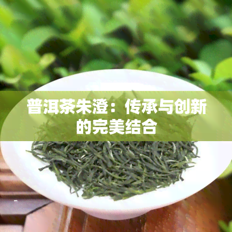 普洱茶朱澄：传承与创新的完美结合