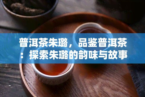 普洱茶朱璐，品鉴普洱茶：探索朱璐的韵味与故事