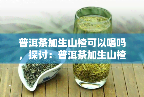 普洱茶加生山楂可以喝吗，探讨：普洱茶加生山楂的搭配是否适合饮用？