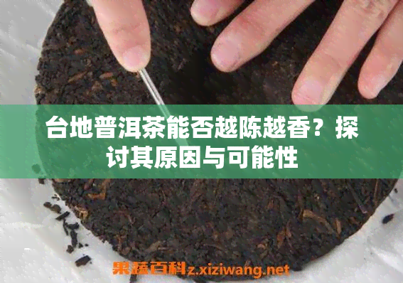 台地普洱茶能否越陈越香？探讨其原因与可能性