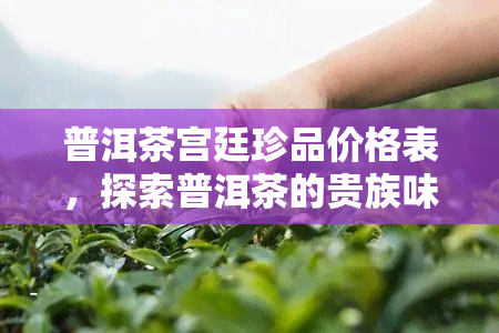 普洱茶宫廷珍品价格表，探索普洱茶的贵族味道：宫廷珍品价格表一览