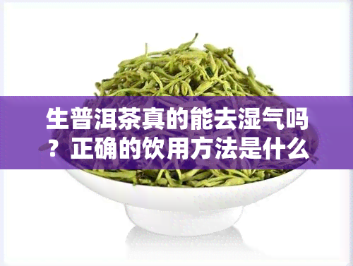 生普洱茶真的能去湿气吗？正确的饮用方法是什么？