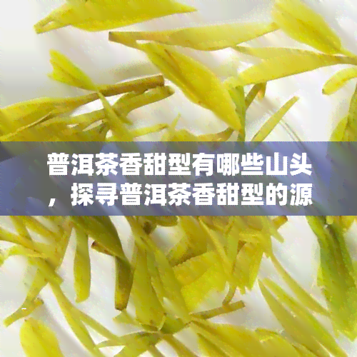 普洱茶香甜型有哪些山头，探寻普洱茶香甜型的源头：揭秘各大山头的独特风味