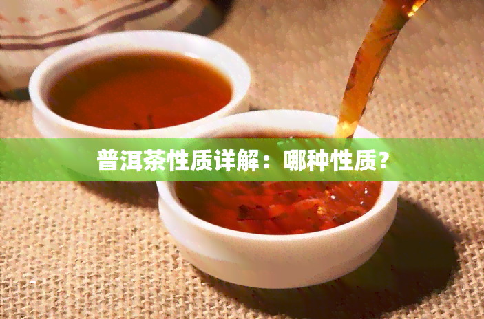 普洱茶性质详解：哪种性质？