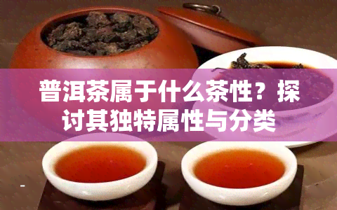 普洱茶属于什么茶性？探讨其独特属性与分类