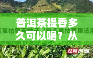 普洱茶提香多久可以喝？从新茶叶到饮用时间解析