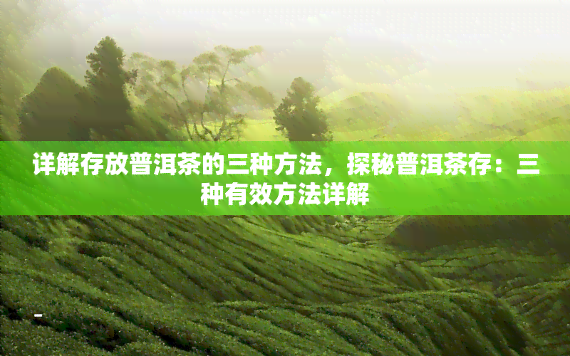 详解存放普洱茶的三种方法，探秘普洱茶存：三种有效方法详解