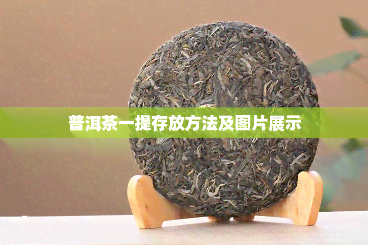 普洱茶一提存放方法及图片展示