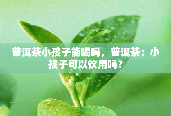 普洱茶小孩子能喝吗，普洱茶：小孩子可以饮用吗？