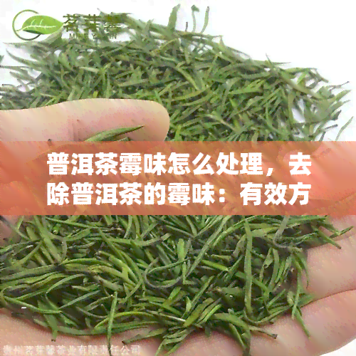 普洱茶霉味怎么处理，去除普洱茶的霉味：有效方法与技巧