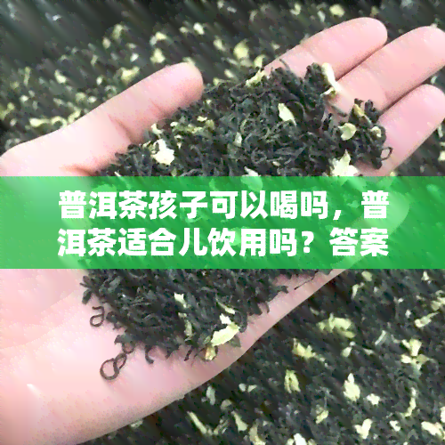 普洱茶孩子可以喝吗，普洱茶适合儿饮用吗？答案在这里！