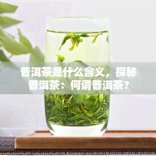 普洱茶是什么含义，探秘普洱茶：何谓普洱茶？