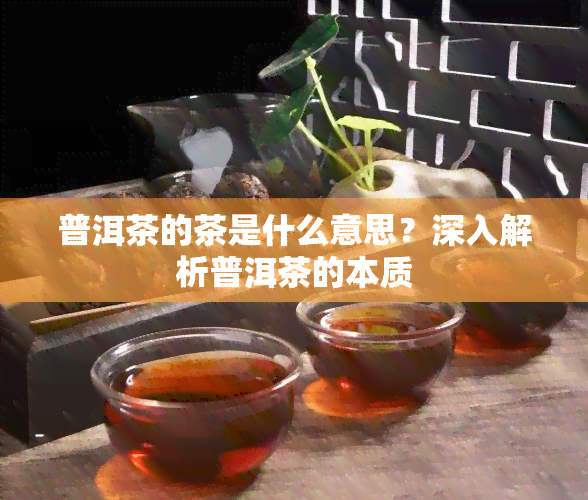 普洱茶的茶是什么意思？深入解析普洱茶的本质