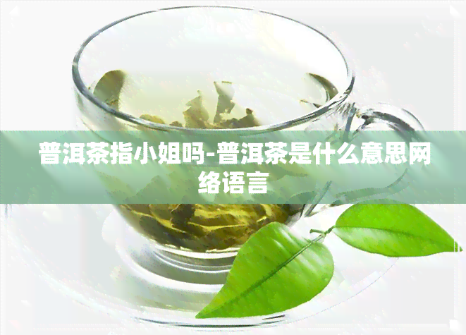 普洱茶指 *** 吗-普洱茶是什么意思网络语言