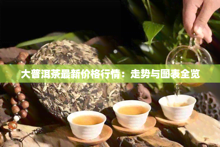 大普洱茶最新价格行情：走势与图表全览